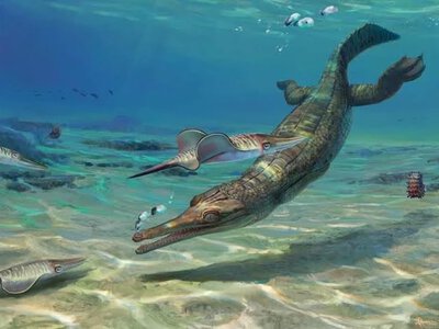 Зуби як зубочистки: учені відкрили новий вид давнього крокодила Ctenosuchus