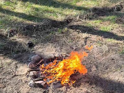 На Миколаївщині у лісах виявили порушення пожежної безпеки