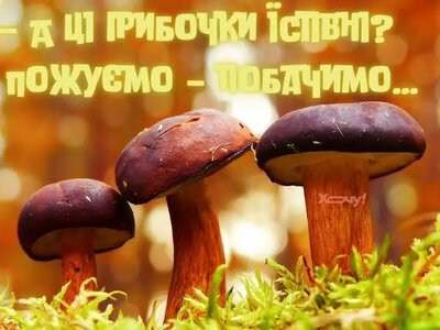 Одеський гумор: як правильно їсти гриби та навіщо купувати смартфон із хорошою камерою