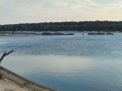  На територіях навколо колишнього Каховського водосховища відновлюються степи 