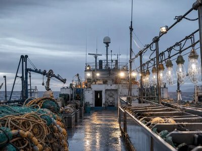 США та Іспанія наростили імпорт китайських кальмарів попри звинувачення — Mongabay