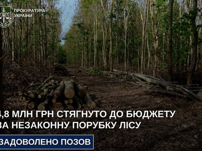 На Дніпропетровщині через незаконну вирубку лісу до бюджету стягнуть 4,8 млн грн