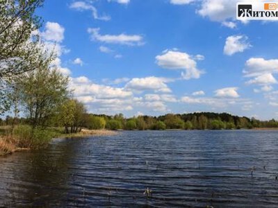 У штучній водоймі Коростеня виявили тіло 82-річної жінки
