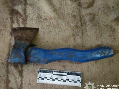 Вдарила сокирою по голові: у Камʼянському судитимуть 47-річну жінку