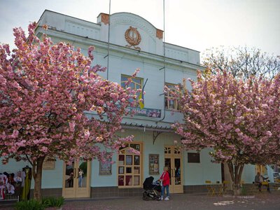 Театр ляльок в Ужгороді шукає технічних спеціалістів у команду