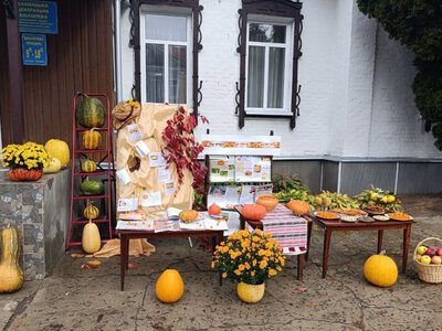  Помаранчеві історії: від грядки до столу – все про гарбуз 