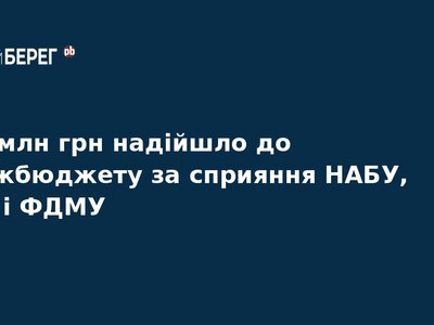До бюджету повернули 230 млн грн завдяки роботі НАБУ