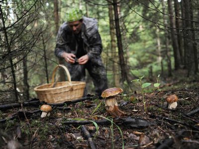 На Яворівщині мисливець під час полювання підстрелив грибника