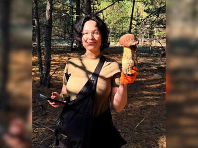 Як Даша Астафʼєва збирала гриби у чернігівському лісі і чому грибницю не треба закривати
