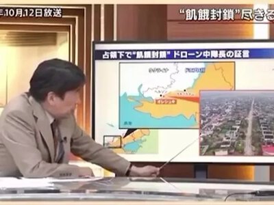 Японський телеканал розповів про Олешки та евакуацію котів