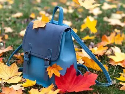 Осінні канікули в Одесі розпочнуться 26 жовтня: коли школярі відпочиватимуть взимку