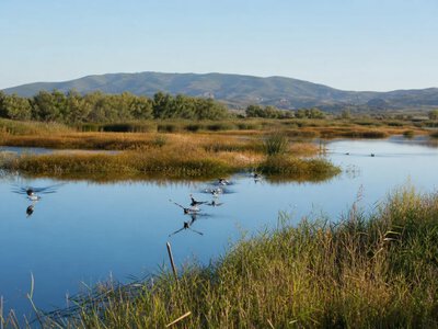 Перед COP17 закликали враховувати вартість екосистем у державних рішеннях