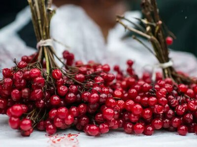 Калина на зиму без варіння: 5 простих способів зберегти користь та вітаміни