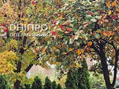 Прогноз погоди у Дніпрі на сьогодні, 15 жовтня 2026