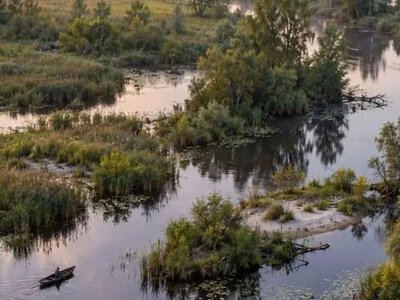 В Україні є своя Амазонія: де знаходиться унікальний край річок, боліт та загублених островів