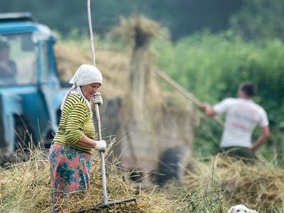  Міжнародний день сільських жінок: визнання сили, праці та незламності 