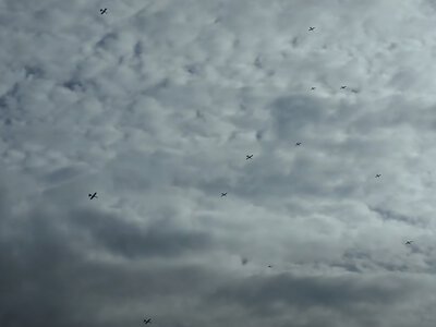 Турецькі дрони Sivrisinek випробували автономний політ у складі рою