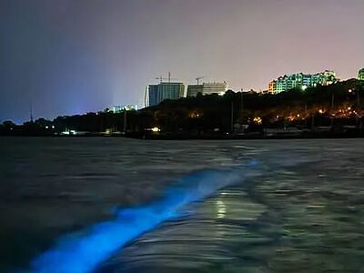 Море біля Одеси вночі засвітилося яскраво-блакитним (фото)
