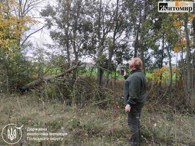 На Звягельщині вздовж 5 км дороги можуть видалити понад 1200 дерев і кущів