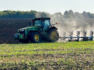 Оранка як запорука високої схожості озимого ріпаку