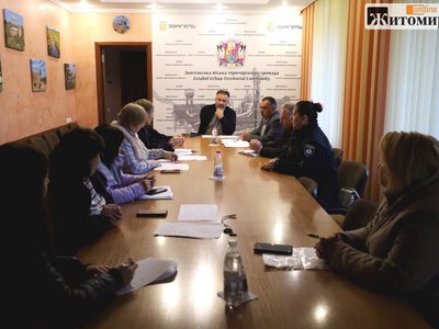 У Звягелі виявили скажену лисицю: на шести вулицях запровадили карантинні заходи