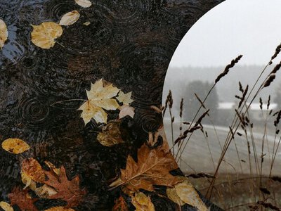 У Карпатах очікується мокрий сніг: прогноз погоди до кінця тижня