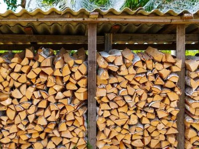 Тепло в оселі залежить від зберігання дров: 5 правил, які має знати кожен