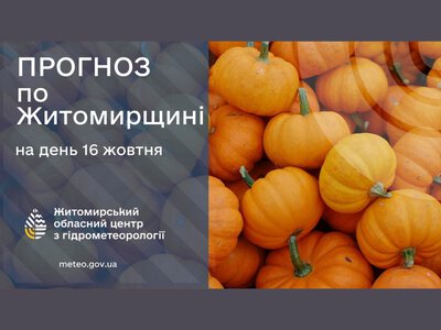 Сьогодні холодно і дощ!