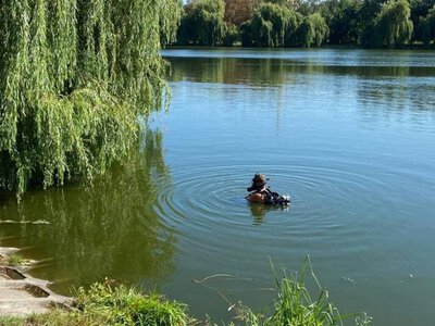 У Рівному спецтехнікою очищають річку Устю біля Гідропарку