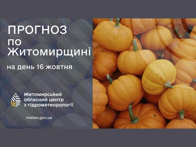 Сьогодні холодно і дощ!
