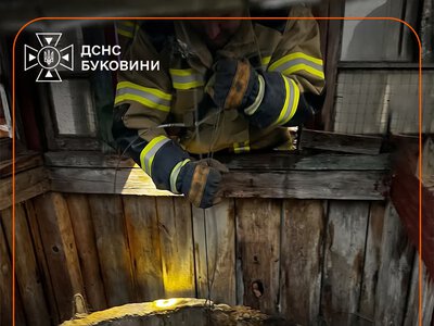 У Сторожинці рятувальники витягли кота з колодязя