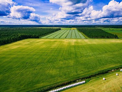 Ринок землі: активність скорочується