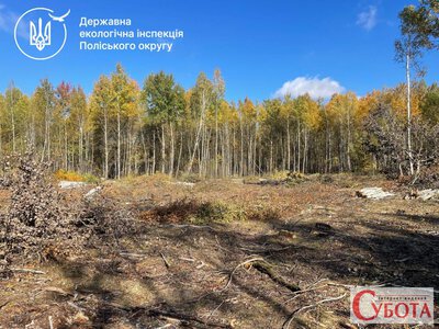 Після звернення жителів поблизу одного з сіл Житомирщини виявили порубку дерев на площі до 4 га