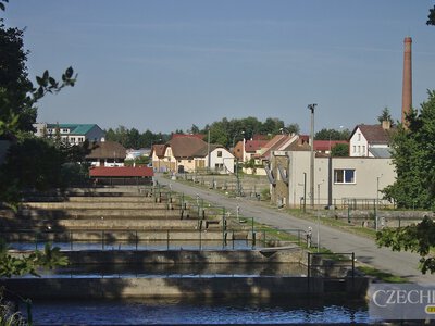 У Чехії скасували знаменитий осінній вилов риби: куди поїхати замість нього вже 16–17 жовтня