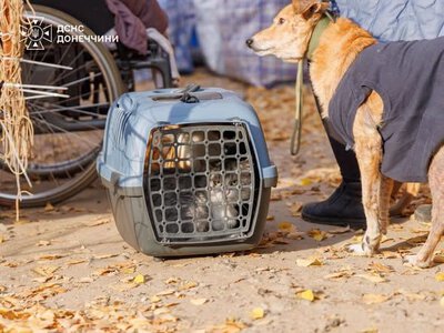  Рятувальники «Фенікс» евакуювали 55 жителів Краматорської та Святогірської громад, серед яких 8 дітей 