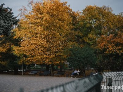 Дощі та до 18 градусів тепла: якою буде погода на Полтавщині цими вихідними