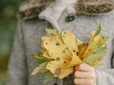 Поради на осінь для знаків зодіаку: як зберегти внутрішнє тепло