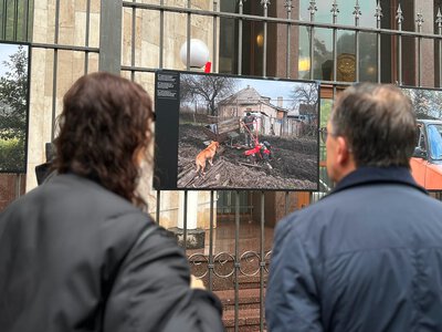 «За зображенням він бачив людей». У Києві відкрили виставку пам'яті Антоні Лаллікана — французького фотожурналіста, який загинув від удару російського дрона торік