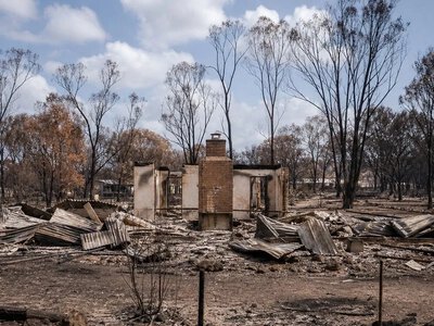 Дослідження: 94% знищених будинків були менш ніж за 100 м від рослинності — The Guardian