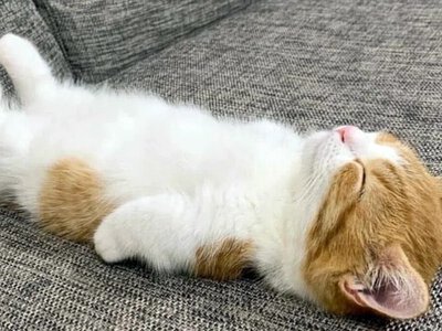 Одеський гумор: що думає єврей про перехід на зимовий час