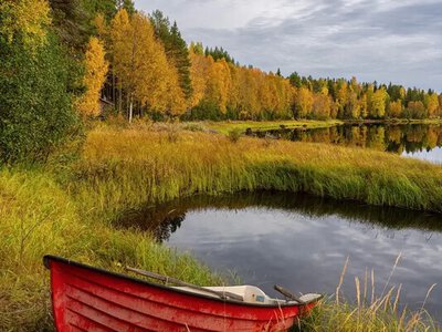 Погода в Україні на тиждень: 19 – 25 жовтня 2026