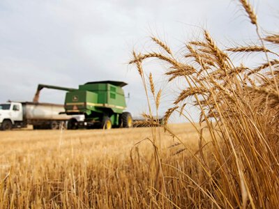 Збір урожаю-2026 та сівба озимих на Закарпатті: проміжні результати й динаміка робіт