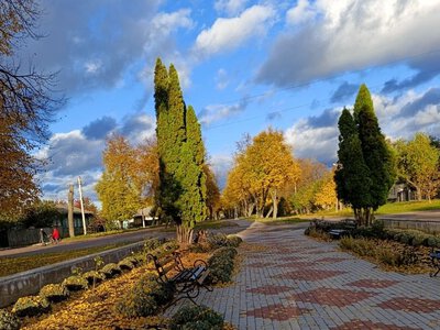 На Сумщині потеплішає до +17°: якою буде погода на початку тижня