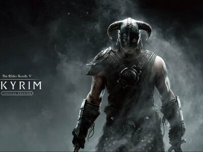 Заліз до тигра через гру: ЗМІ звинуватили Skyrim у загибелі хлопця (фото) (Відео)