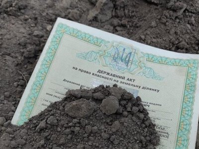 Немає кадастрового номера або загубився державний акт: чи можна успадкувати землю