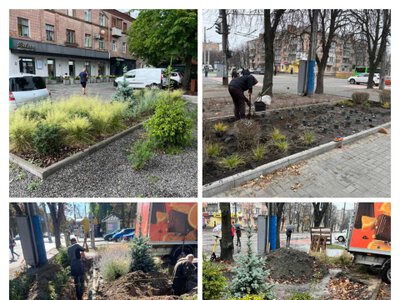 Черкасці просять скасувати будівництво кіоску на клумбі 