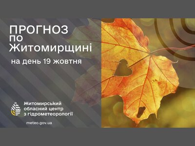 Сьогодні на Житомирщині погода: дощ і туман!