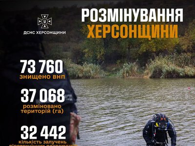 На Херсонщині сапери знешкодили понад 73 тисячі вибухонебезпечних предметів
