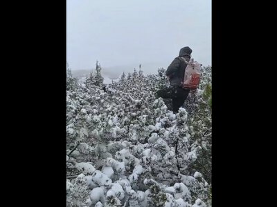 Біля Говерли рятувальники чотири години шукали заблукалого туриста