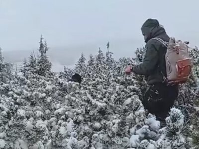 Поблизу Говерли врятували вінничанина, який ледь не замерз на високогір’ї